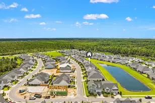 85 Bunting Ln, Inlet Beach, FL 32461 - Photo 40