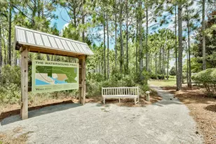 145 Catface Dr, Inlet Beach, FL 32461 - Photo 60