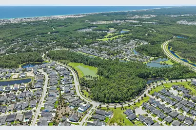 145 Catface Drive, Inlet Beach, FL 32461 - Photo 50
