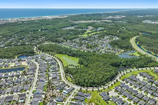 145 Catface Dr, Inlet Beach, FL 32461 - Photo 50