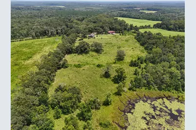 1446 Tara Cylebrico Road, Westville, FL 32464 - Photo 40