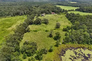 1446 Tara Cylebrico Rd, Westville, FL 32464 - Photo 40