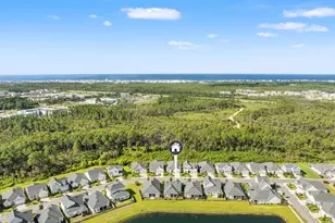 202 Suwannee Dr, Inlet Beach, FL 32461 - Photo 40