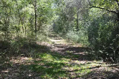 Xxx 32 Ac. Aplin Road, Crestview, FL 32539 - Photo 2