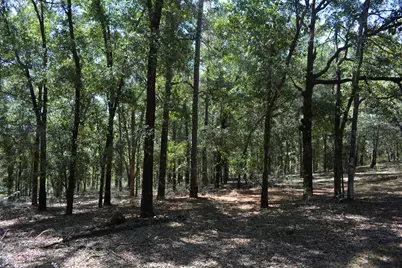 Xxx 32 Ac. Aplin Road, Crestview, FL 32539 - Photo 4