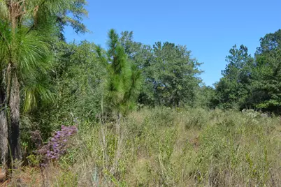 Xxx 32 Ac. Aplin Road, Crestview, FL 32539 - Photo 12