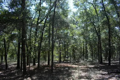 Xxx 32 Ac. Aplin Road, Crestview, FL 32539 - Photo 8