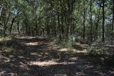 Xxx 32 Ac. Aplin Road, Crestview, FL 32539 - Photo 6