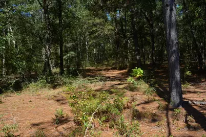 Xxx 32 Ac. Aplin Road, Crestview, FL 32539 - Photo 10