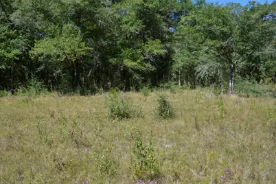 Xxx 32 Ac. Aplin Road, Crestview, FL 32539 - Photo 14