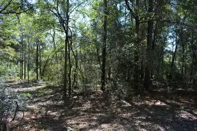Xxx 32 Ac. Aplin Road, Crestview, FL 32539 - Photo 1