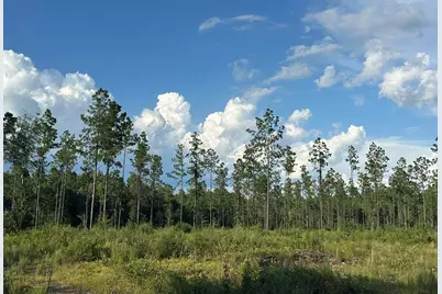 A1 Stewart Road, Baker, FL 32531 - Photo 8