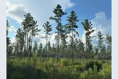 C1 Yellow River Baptist Ch Road #C-1, Baker, FL 32531 - Photo 4