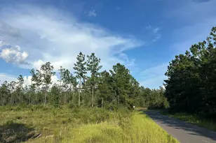 C1 Yellow River Baptist Ch Rd, Baker, FL 32531 - Photo 1