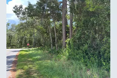 1.21 Ac. Oak Avenue, Santa Rosa Beach, FL 32459 - Photo 14