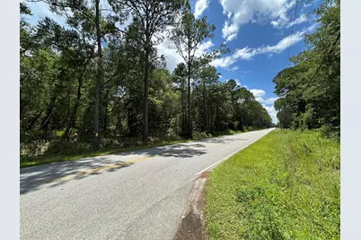 1.21 Ac. Oak Avenue, Santa Rosa Beach, FL 32459 - Photo 8