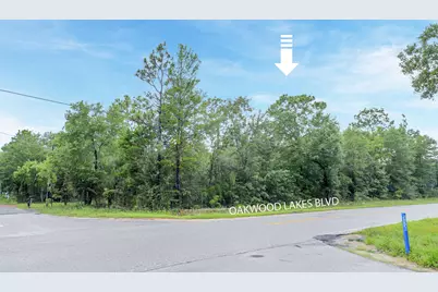 Lot 8 Oakwood Lakes Boulevard, Defuniak Springs, FL 32433 - Photo 1