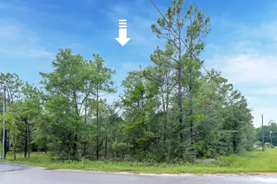 Lot 8 Oakwood Lakes Boulevard, Defuniak Springs, FL 32433 - Photo 6