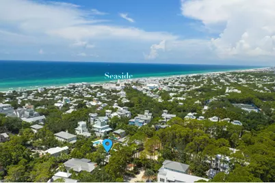 363 Canal Street, Santa Rosa Beach, FL 32459 - Photo 38