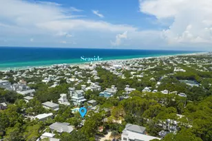 363 Canal St, Santa Rosa Beach, FL 32459 - Photo 38