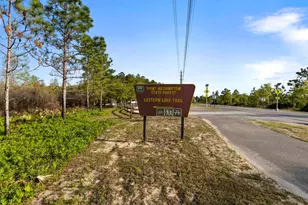 330 Channel Shl Dr, Santa Rosa Beach, FL 32459 - Photo 42