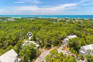 339 Matt's Way, Santa Rosa Beach, FL 32459 - Photo 46