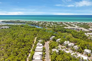339 Matt's Way, Santa Rosa Beach, FL 32459 - Photo 50