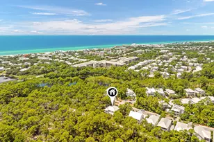 339 Matt's Way, Santa Rosa Beach, FL 32459 - Photo 56