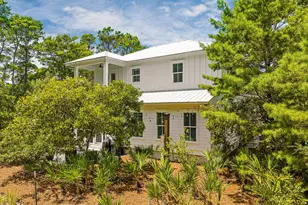339 Matt's Way, Santa Rosa Beach, FL 32459 - Photo 38