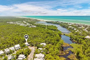 339 Matt's Way, Santa Rosa Beach, FL 32459 - Photo 58