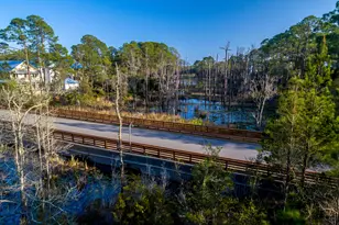 339 Matt's Way, Santa Rosa Beach, FL 32459 - Photo 58