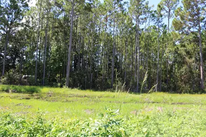 Lots 3 & 4 Monks Lane, Santa Rosa Beach, FL 32459 - Photo 36