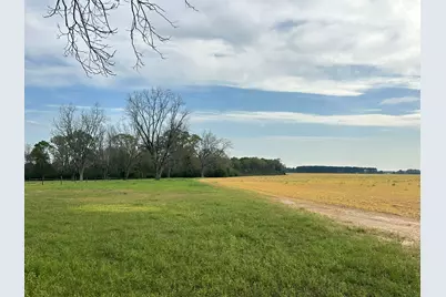 10+/- Ac Vinson Ray Road, Baker, FL 32531 - Photo 4