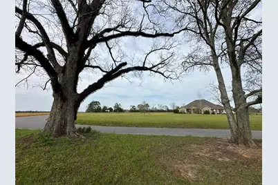 10+/- Ac Vinson Ray Road, Baker, FL 32531 - Photo 8