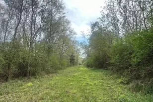 10+/- Ac Vinson Ray Rd, Baker, FL 32531 - Photo 1