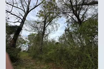 10+/- Ac Vinson Ray Road, Baker, FL 32531 - Photo 2
