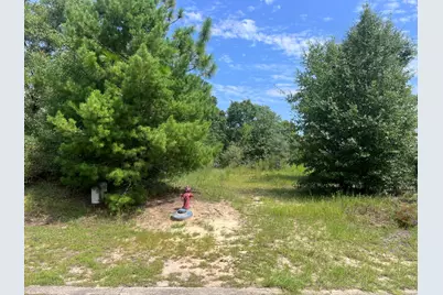 223 Sue Lane, Defuniak Springs, FL 32435 - Photo 2