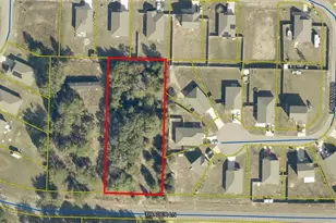 223 Sue Ln, Defuniak Springs, FL 32435 - Photo 1