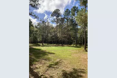 800 Jolly Bay Road, Freeport, FL 32439 - Photo 6