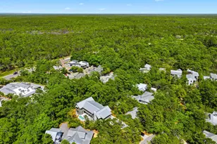 393 Wilderness Way, Santa Rosa Beach, FL 32459 - Photo 60