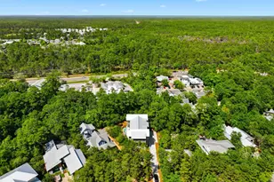 393 Wilderness Way, Santa Rosa Beach, FL 32459 - Photo 76