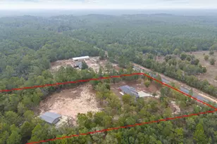 5570 Mt Olive Rd, Crestview, FL 32539 - Photo 46