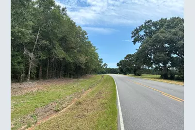 423 E Tedder Road, Defuniak Springs, FL 32433 - Photo 76