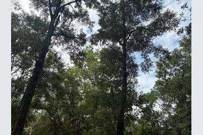 423 E Tedder Road, Defuniak Springs, FL 32433 - Photo 46
