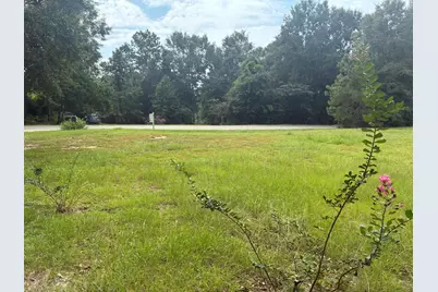 423 E Tedder Road, Defuniak Springs, FL 32433 - Photo 8