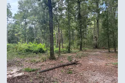 423 E Tedder Road, Defuniak Springs, FL 32433 - Photo 40