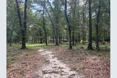 423 E Tedder Road, Defuniak Springs, FL 32433 - Photo 36