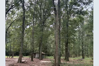 423 E Tedder Road, Defuniak Springs, FL 32433 - Photo 48