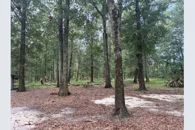 423 E Tedder Road, Defuniak Springs, FL 32433 - Photo 26