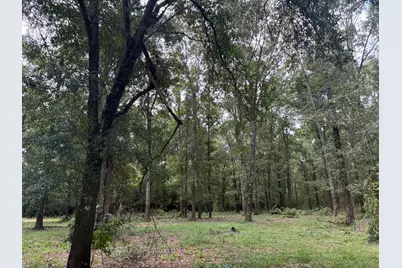 423 E Tedder Road, Defuniak Springs, FL 32433 - Photo 32